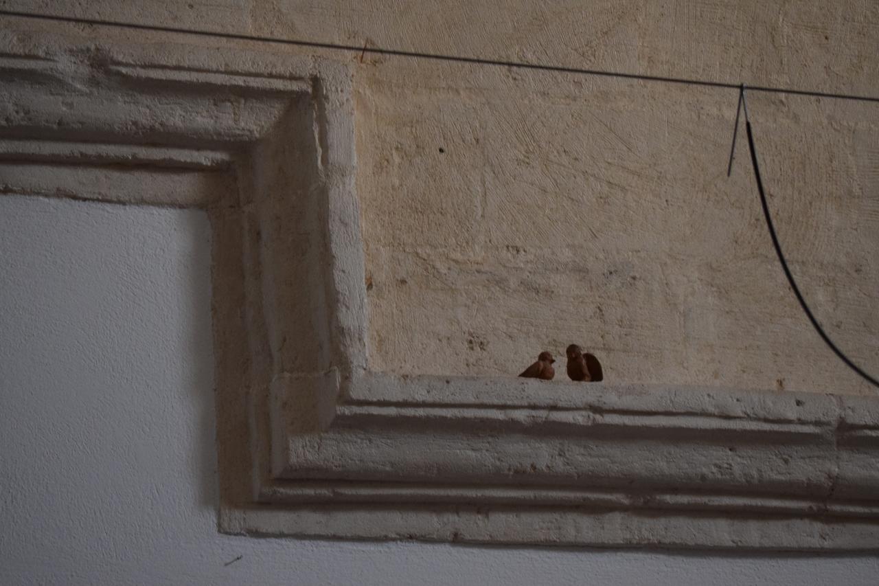 Corte Dei Venti Matera Dış mekan fotoğraf